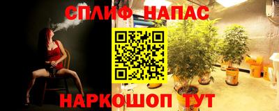 каннабис Нальчик