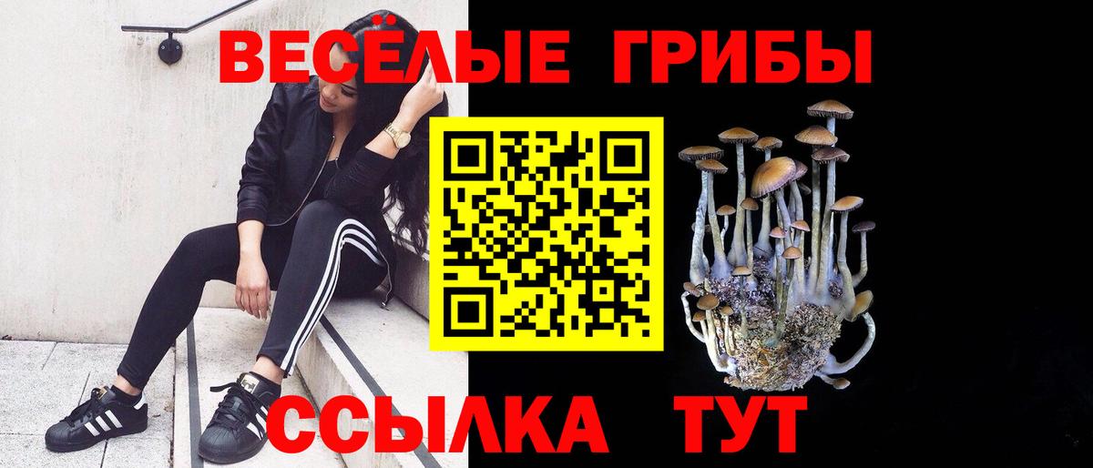 Тавда  купить наркотики цена  Вход с VPN  Галлюциногенные грибы Magic Shrooms  Галлюциногенные грибы мицелий 