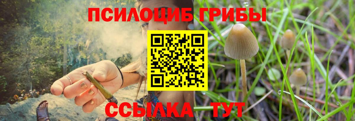 Галлюциногенные грибы мухоморы Тавда